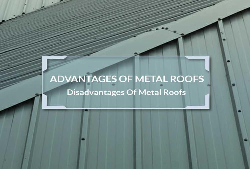 Metal Roof And Leaf System