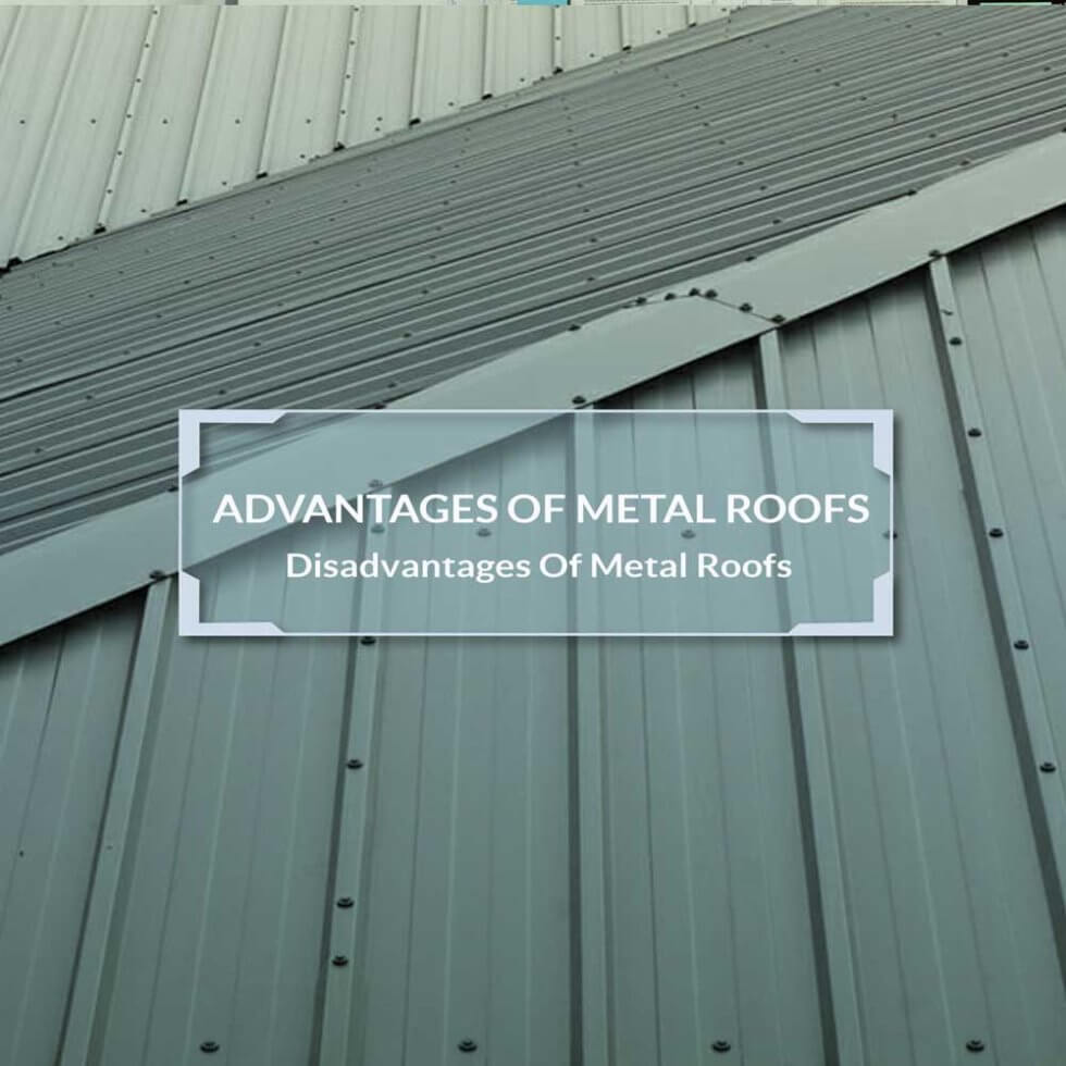 Metal Roof And Leaf System - SES